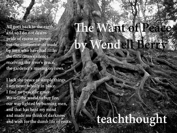 ‘The Want Of Peace’ By Wendell Berry