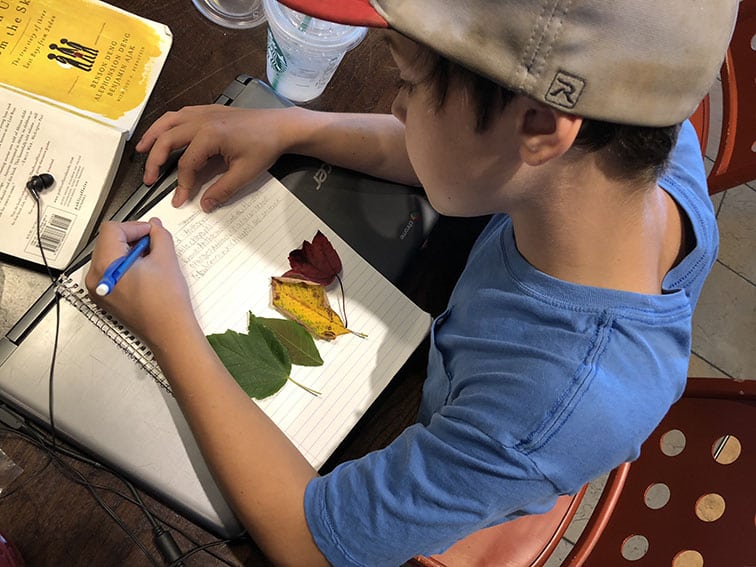Resources For The Parents And Teachers Of Gifted And Talented Students